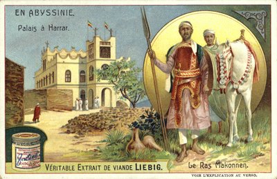 Palace at Harar and Ras Makonnen, Ethiopia by European School